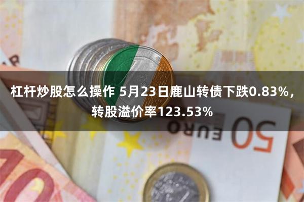 杠杆炒股怎么操作 5月23日鹿山转债下跌0.83%，转股溢价率123.53%