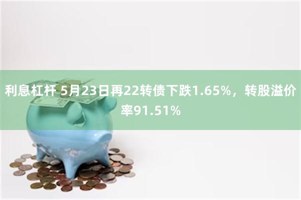 利息杠杆 5月23日再22转债下跌1.65%，转股溢价率91.51%