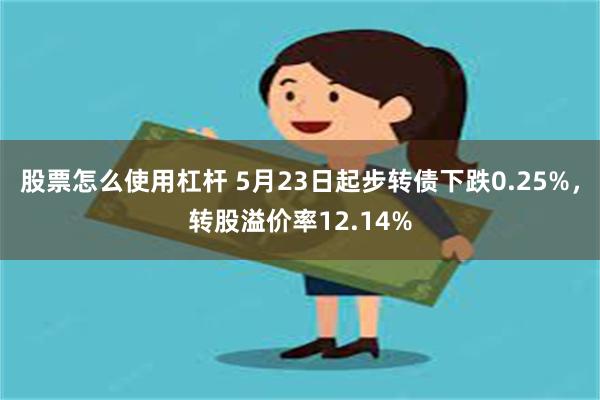 股票怎么使用杠杆 5月23日起步转债下跌0.25%，转股溢价率12.14%