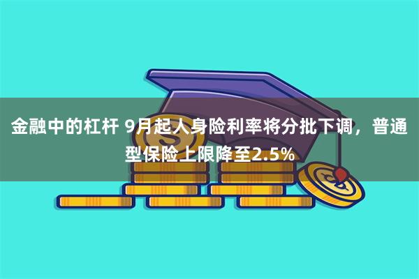 金融中的杠杆 9月起人身险利率将分批下调，普通型保险上限降至2.5%