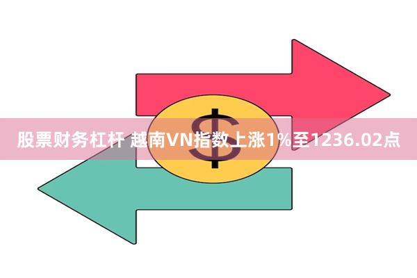 股票财务杠杆 越南VN指数上涨1%至1236.02点