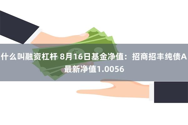 什么叫融资杠杆 8月16日基金净值：招商招丰纯债A最新净值1.0056