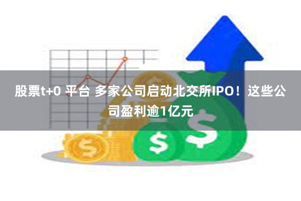 股票t+0 平台 多家公司启动北交所IPO！这些公司盈利逾1亿元