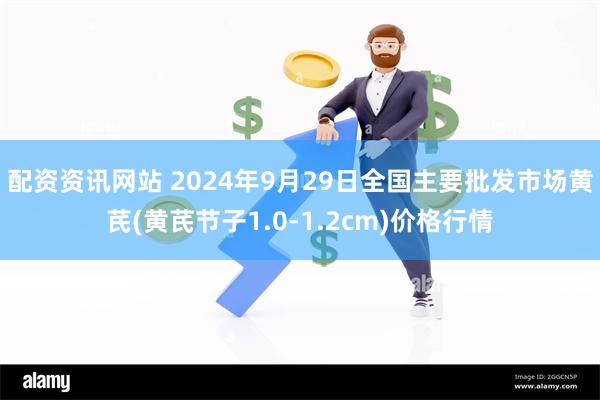 配资资讯网站 2024年9月29日全国主要批发市场黄芪(黄芪节子1.0-1.2cm)价格行情