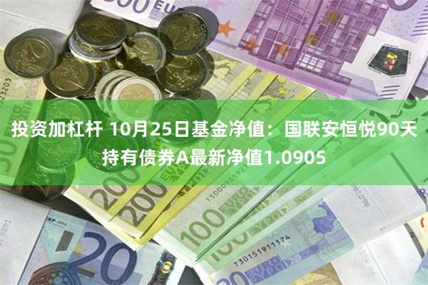 投资加杠杆 10月25日基金净值：国联安恒悦90天持有债券A最新净值1.0905